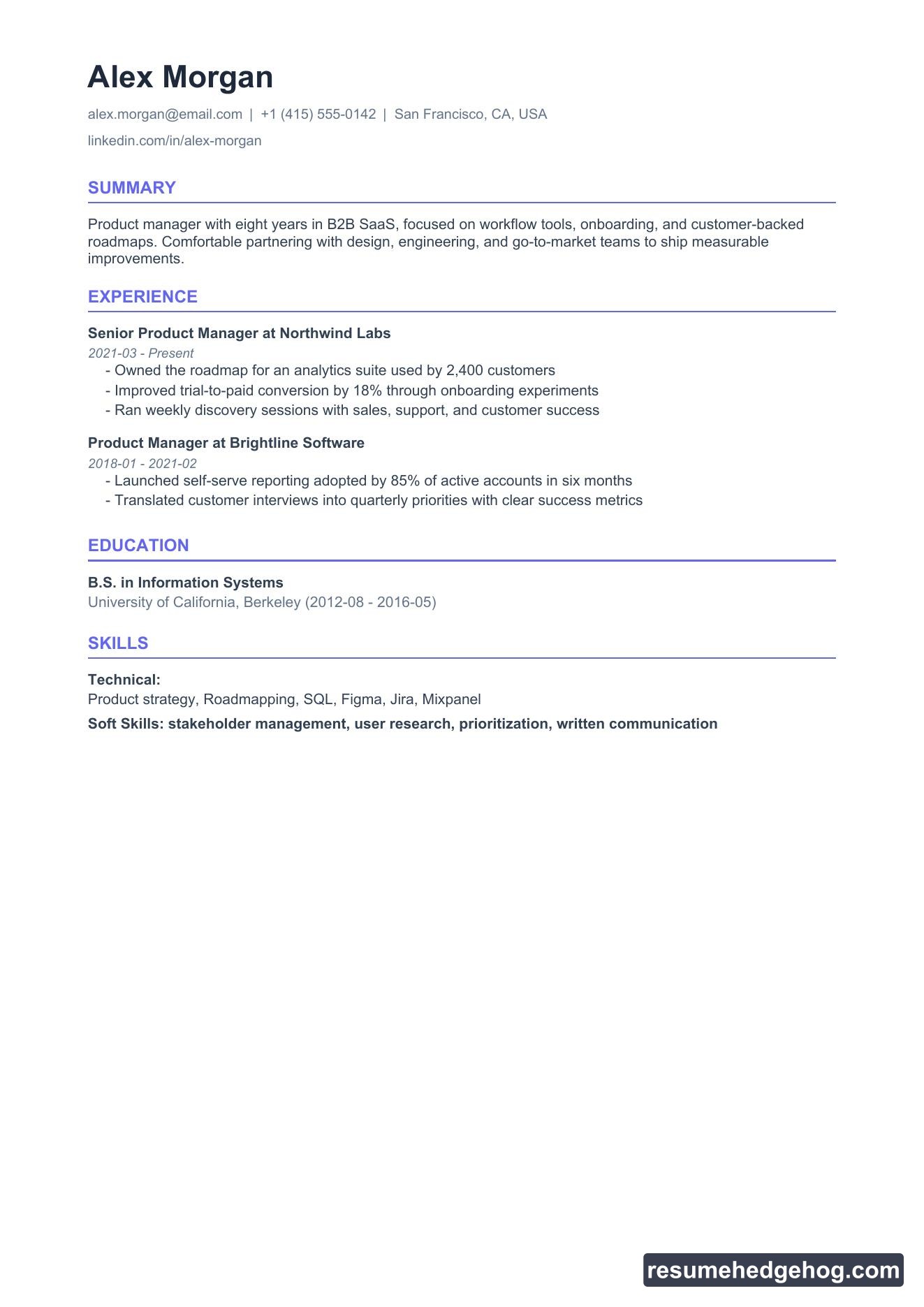 Modern resume style PDF preview